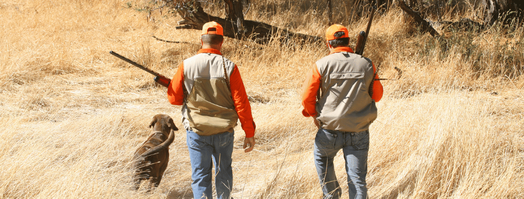 An image of two hunters, hunting in Washington with a hound dog in grassfield