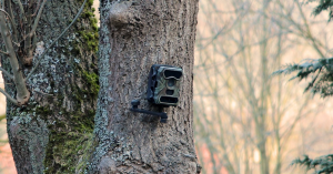 An image of a trail camera attached to the tree for saddle hunting