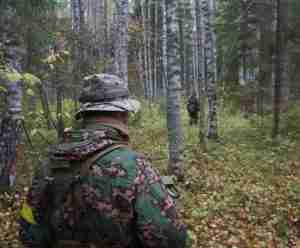 A hunter wearing a camo gear wandering in the woods