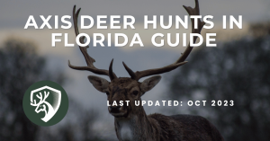 Guide for Axis Deer Hunts in Florida