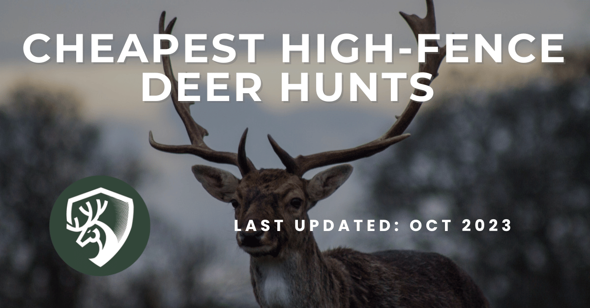 A guide to finding the cheapest high-fence deer hunts
