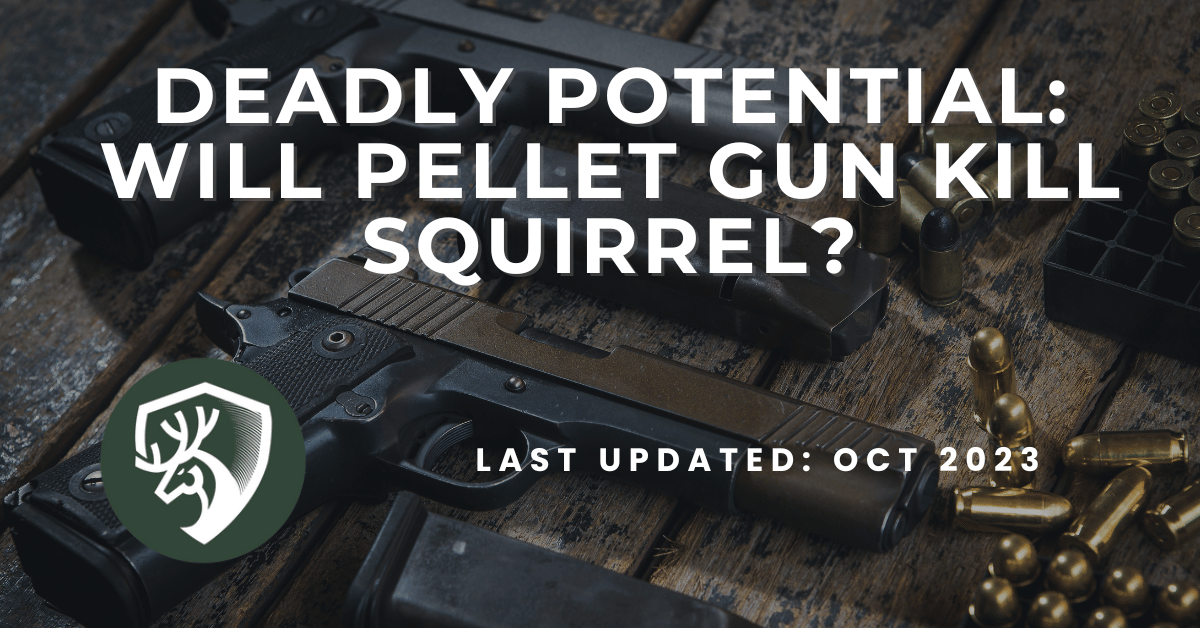 A guide for a question, "will pellet gun kill squirrel?"