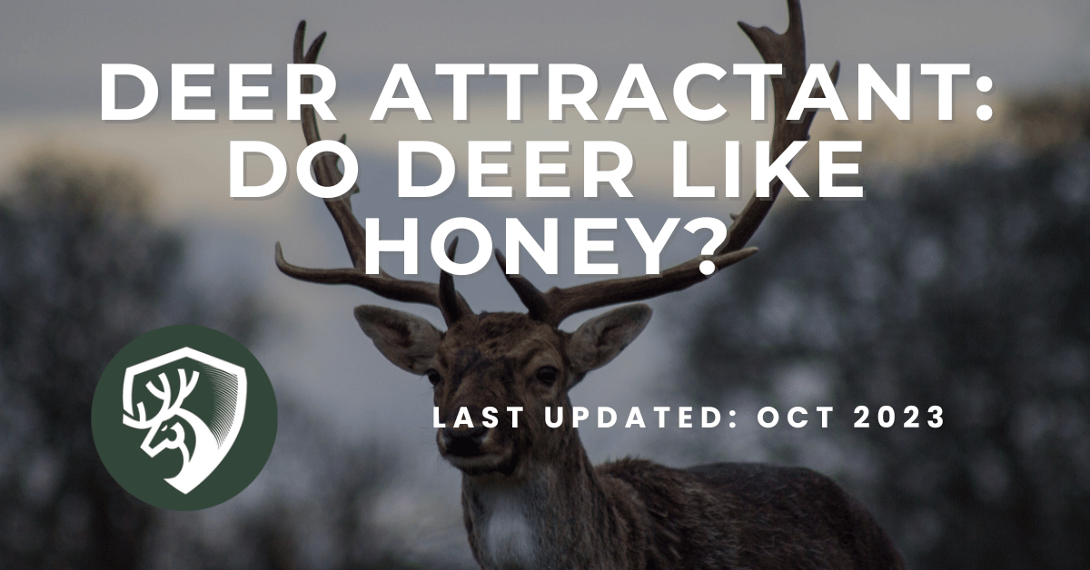 A guide for deer hunting answering the question, "Do deer like honey?"