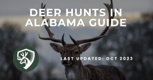 A hunting guide for deer hunts in Alabama