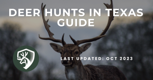A guide for deer hunts in Texas