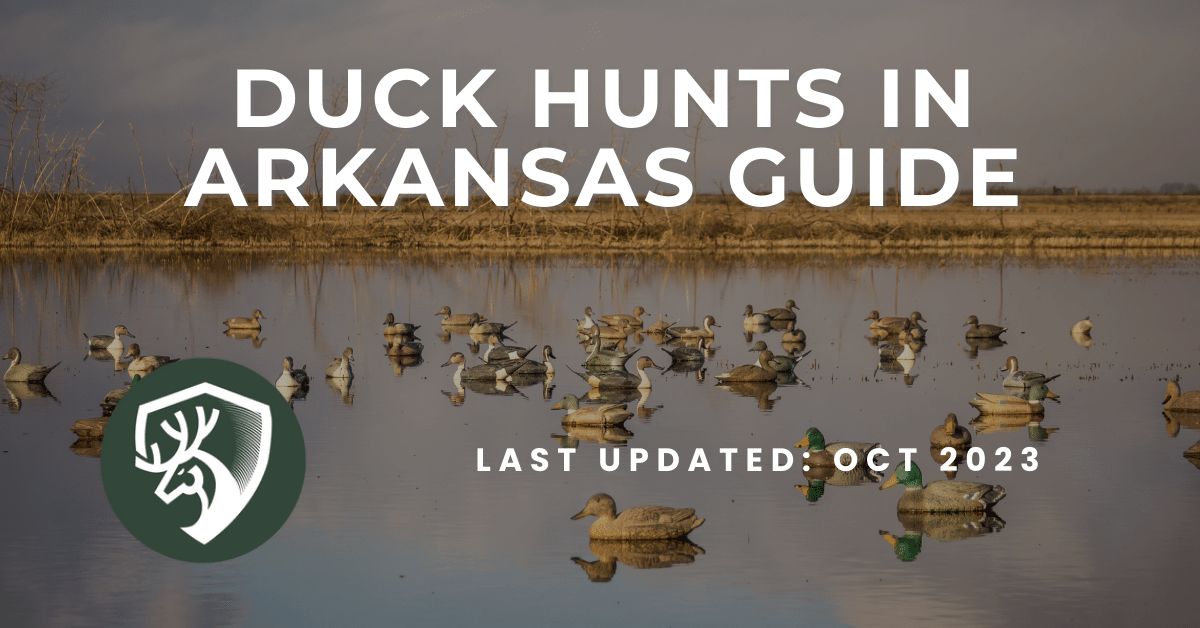 A guide of duck hunts in Arkansas