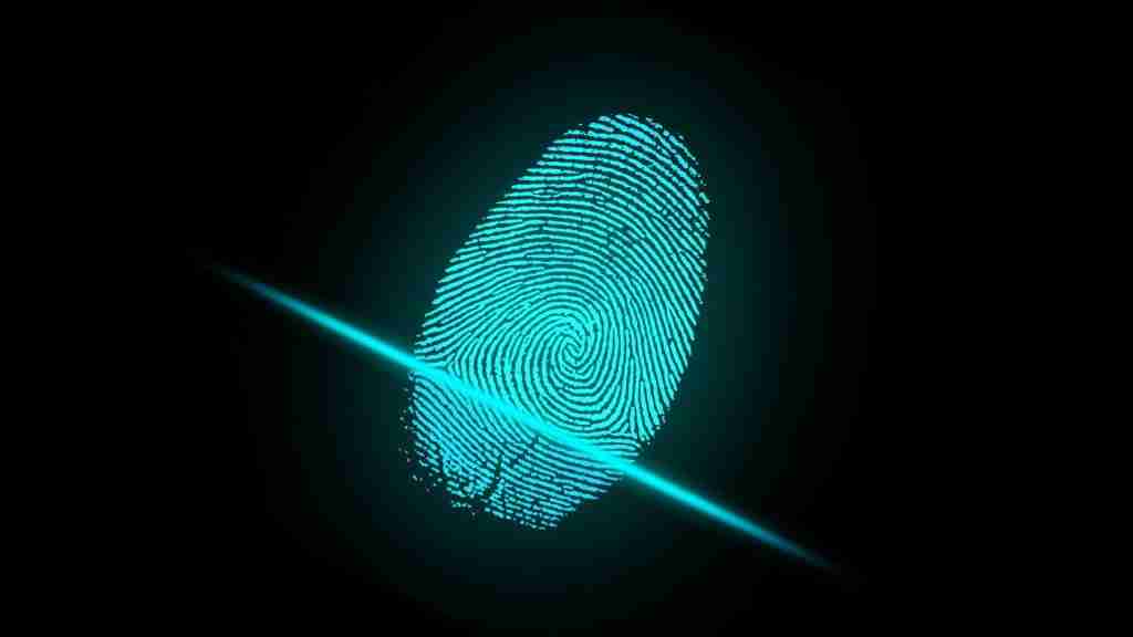An image of a scanned fingerprint