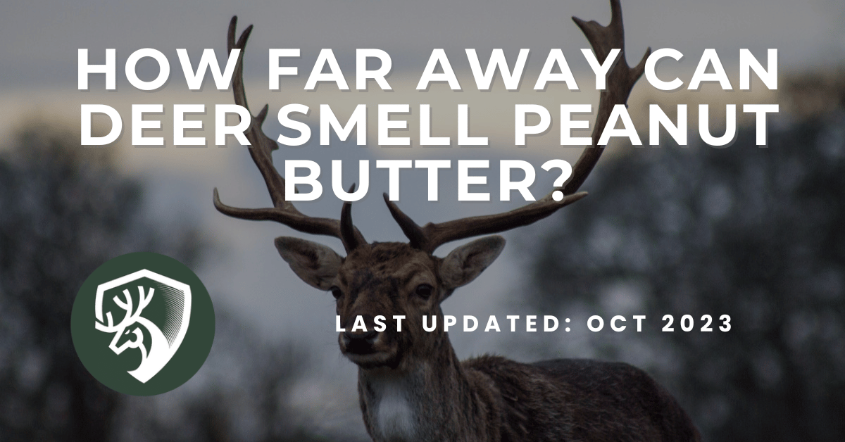 A guide for deer hunting about how far away can deer smell peanut butter