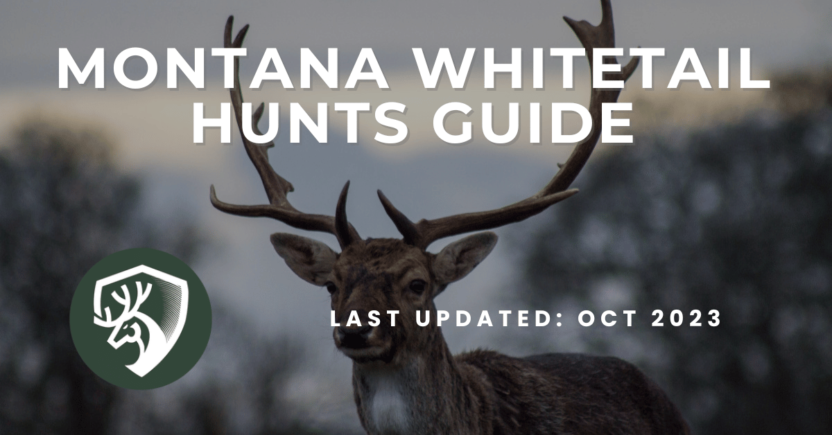 A guide for Montana whitetail hunts