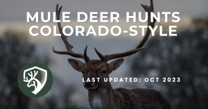A guide for mule deer hunts Colorado