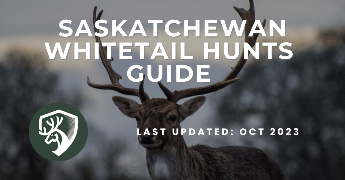 A guide for Saskatchewan whitetail hunts