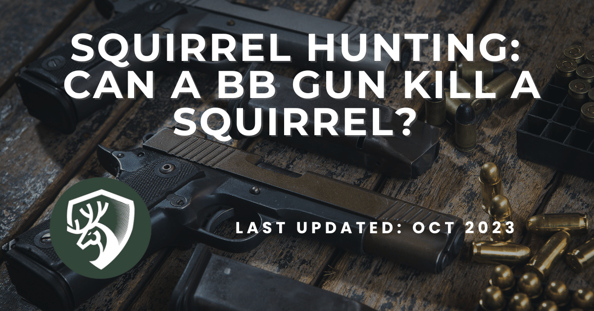 A guide for squirrel hunting, "can a BB gun kill a squirrel?"