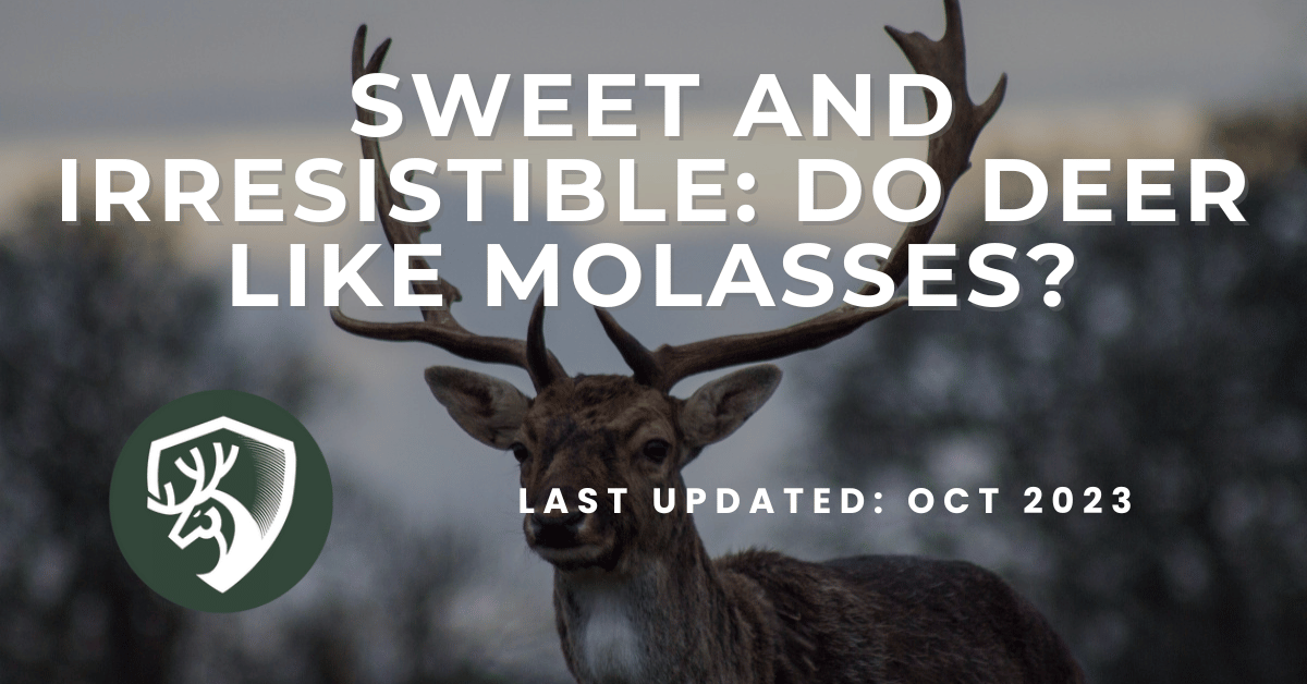 A deer hunting guide answering the question, "Do deer like molasses?"